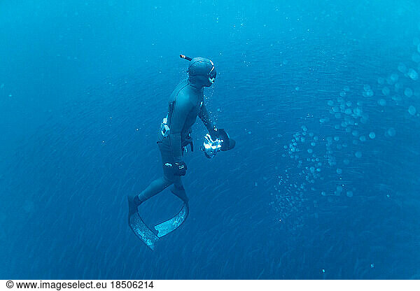 an underwater photographer rises to the surface