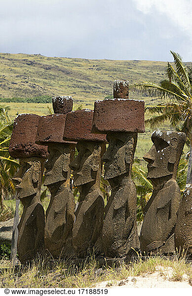 Anakena  7 Moa? including 4 with headdress (Pukao)  Rapa Nui  Easter Island  Chile