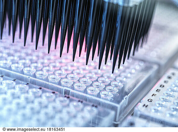 Analysis of samples in microplates by automation robotics
