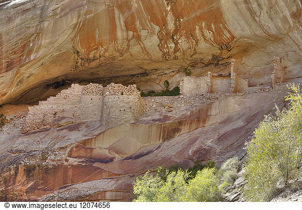 Anasazi-Ruinen  Monarch-Höhle  Butler Wash  bei Bluff  Utah  Vereinigte Staaten von Amerika  Nordamerika