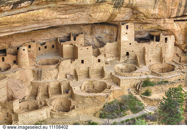 Anasazi Ruins  Cliff Palace  dating from between 600 AD and 1300 AD  Mesa Verde National Park  UNESCO World Heritage Site  Colorado  United States of America  North America