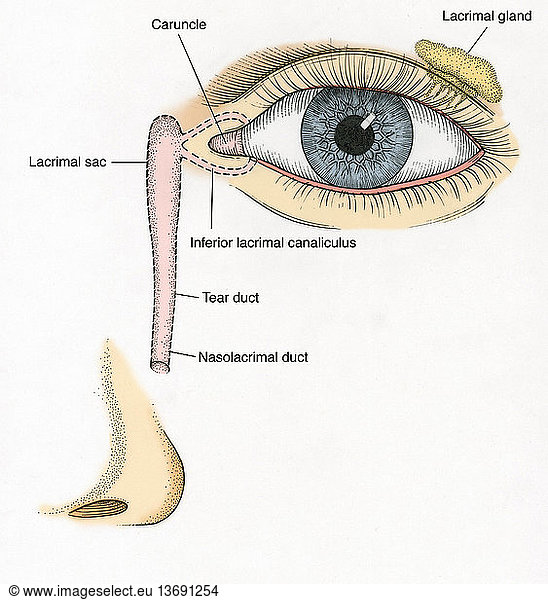 My Image 22