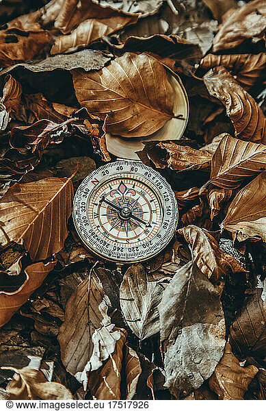Ancient golden compass among the dry leaves of the forest in autumn