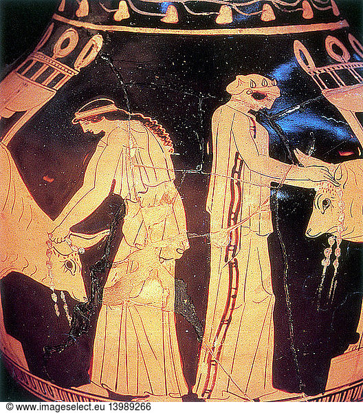 Ancient Greek Preparation of Sacrificial Beasts