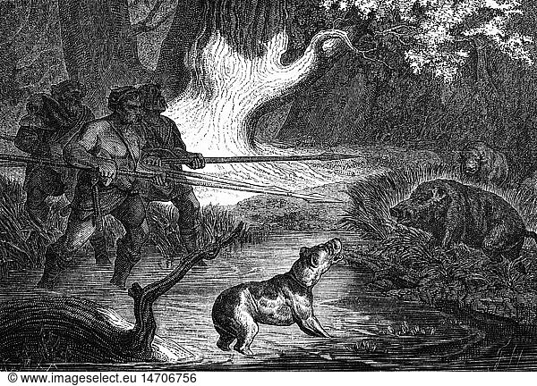 ancient world  Germanics  hunting  men at the boar hunt  wood engraving  19th century  people  man  men  chase  chasing  wild boar  boar  wild pig  wild boars  forest  forests  wood  woods  hunting dog  hound  gun dog  hunting dogs  gun dogs  hounds  historic  historical  ancient world  male