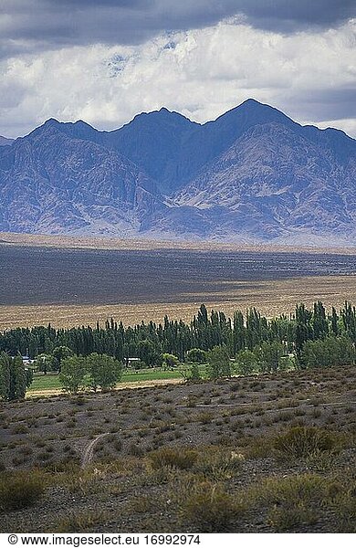 Andengebirge  Uspallata  Provinz Mendoza  Argentinien