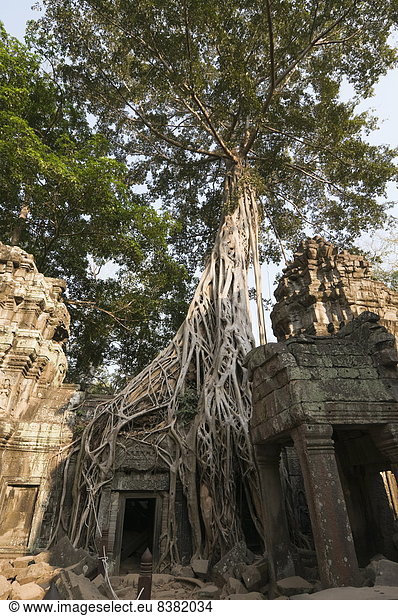 Angkor Thom Kambodscha Siem Reap