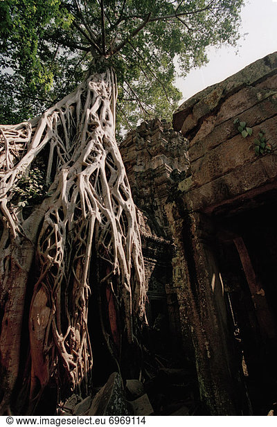 Angkor Wat  Kambodscha  Siem Reap