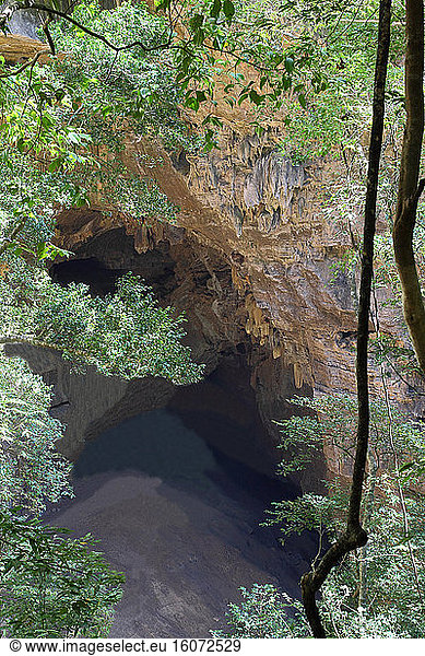 Ankarana NP  monumental entrance to the cave of bats dug in the Tsingy fossil coral reef  PN 18 220 ha over 35 km  North-West Madagascar