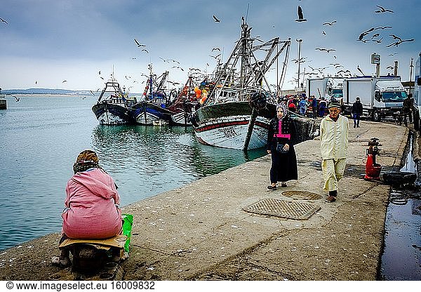 Anlandung von frischem Fisch im Hafen von Essaouira  Marokko  Nordafrika.
