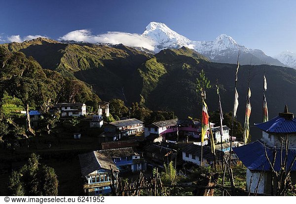 Annapurna South on the left and Hiunchuli on right  seen from Tadapani Village  Annapurna Conservation Area  Dhawalagiri (Dhaulagiri)  Western Region (Pashchimanchal)  Nepal  Asia