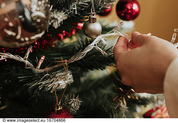 Anonyme Person  die zu Weihnachten eine Lichtergirlande an einen Nadelbaum hängt
