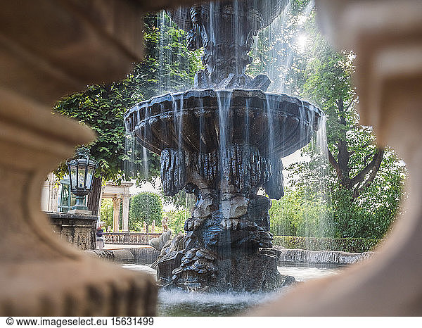 Ansicht eines Springbrunnens gegen Bäume im Ziergarten von Dresden  Deutschland