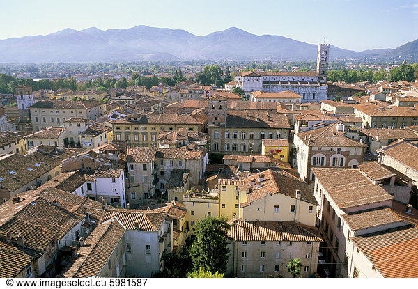 Ansicht Süden von Guinici Turm der Dächer der Stadt und der Kathedrale von Lucca,  Toskana,  Italien,  Europa