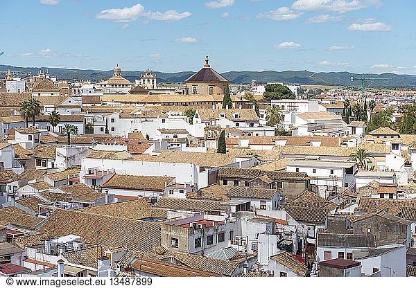 Ansicht von Dächern mit Kathedrale  Córdoba  Andalusien  Spanien  Europa