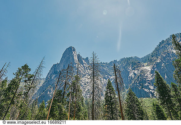 Ansichten des Yosemite National Park im Sommer in Nordkalifornien.