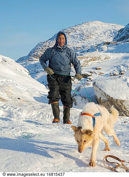 Anspannen der Schlittenhunde. Das traditionelle und abgelegene grönländische Inuit-Dorf Kullorsuaq  Melville Bay  Teil der Baffin Bay. Amerika  Nordamerika  Grönland  dänisches Gebiet.