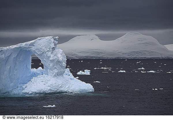 Antarctica  Icebergs and floes