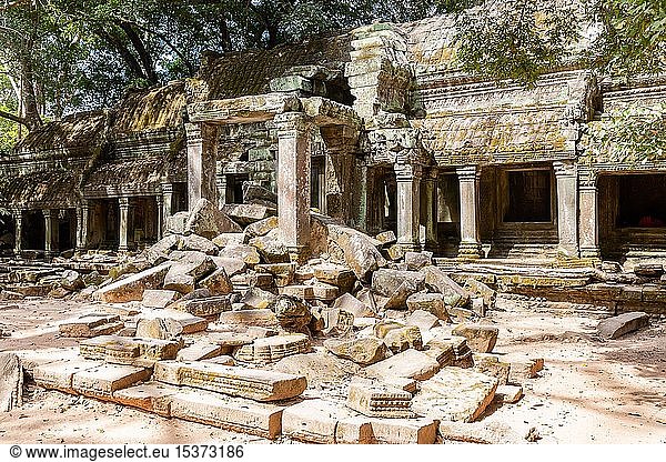 Antike Überreste des Tempels Ta Prohm  Archäologischer Park von Angkor  Siem Reap  Kambodscha  Asien