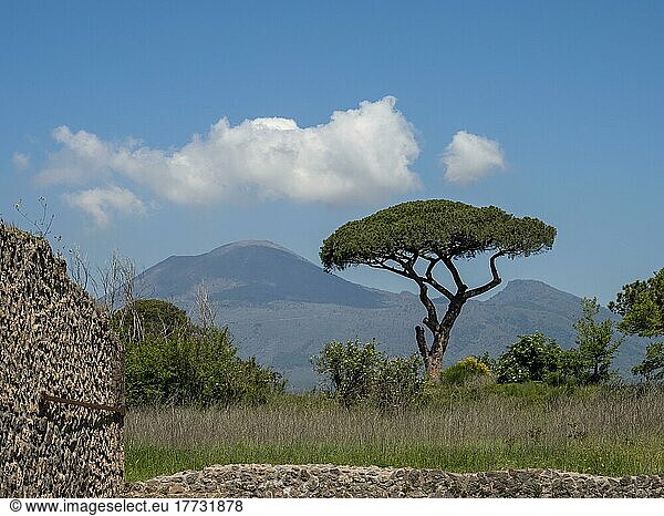 Antike Mauerreste  hinten der Vesuv  antike Stadt Pompeji  Kampanien  Italien  Europa