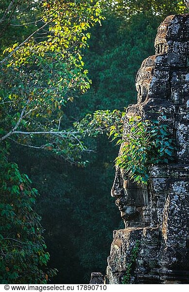 Antike Steinwand des Bayon-Tempels  Angkor  Kambodscha  mit wachsenden Pflanzen  Asien