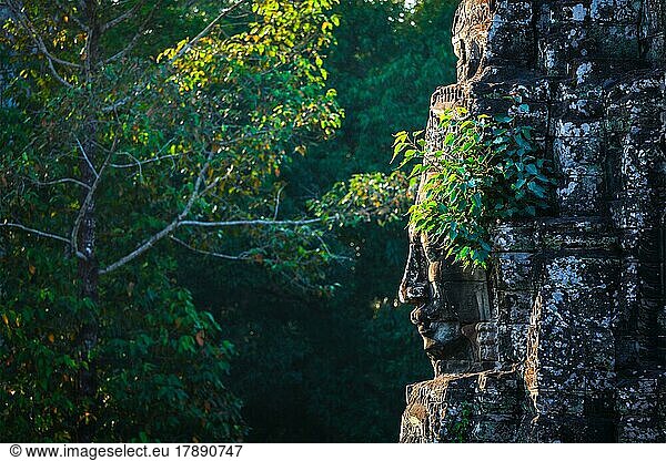 Antike Steinwand des Bayon-Tempels  Angkor  Kambodscha  mit wachsenden Pflanzen  Asien