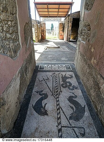 Antikes Mosaik  antike Stadt  Pompeji  Kampanien  Italien  Europa