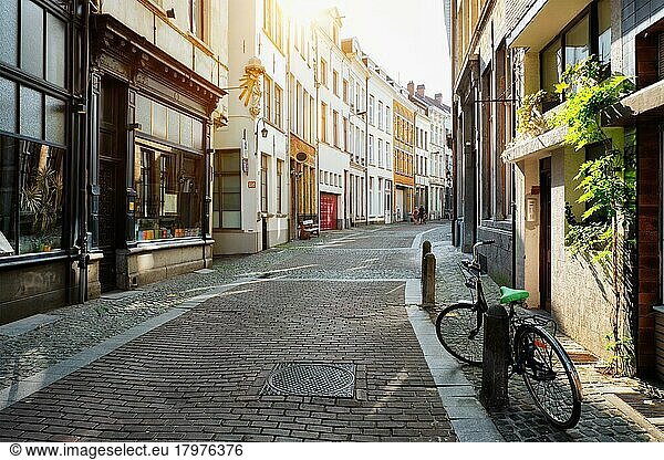 Antwerpener Straße mit einer Reihe alter Häuser  Belgien  Europa