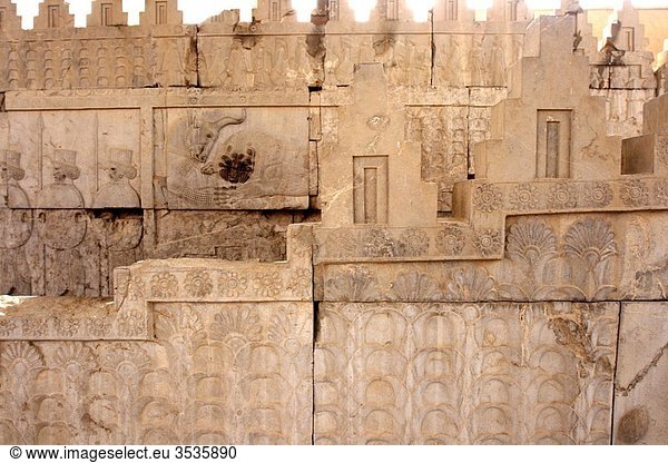 Apadana palace stairs  Persepolis  Iran
