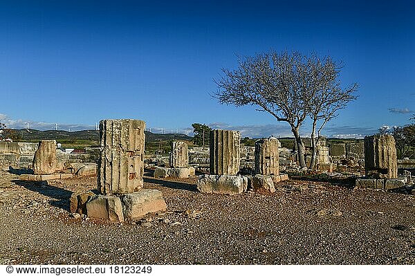 Aphrodite-Heiligtum  Ausgrabungsstätte Alt-Paphos  Kouklia  Zypern  Europa