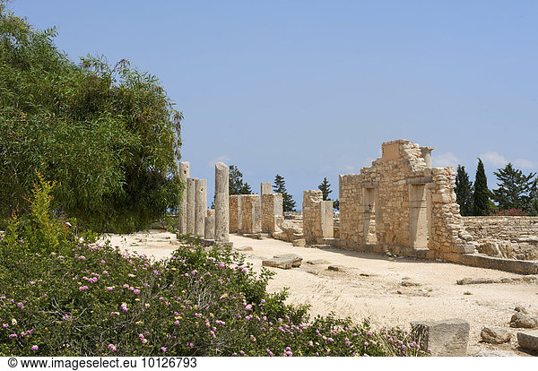 Apollon Hylates Heiligtum bei Kourion  Limassol  Südzypern  Zypern  Europa