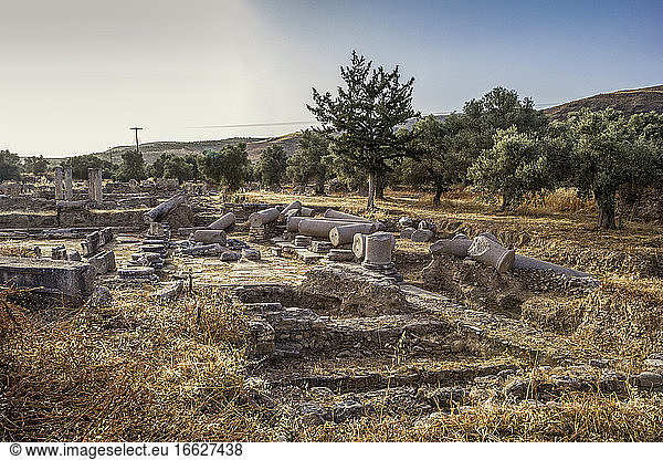 Apollon-Tempel bei Sonnenuntergang in Gortyn  Kreta  Griechenland