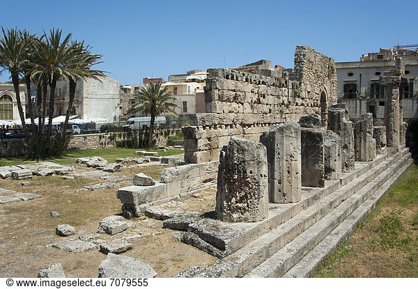 Apollon-Tempel  Siracusa  Syrakus  Insel Ortygia  Ortigia  Sizilien  Italien  Europa