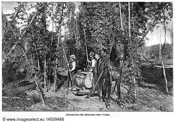 Apparatus for Spraying Hop Yards  Report of the Commissioner of Agriculture  US Dept of Agriculture  Illustration  1888