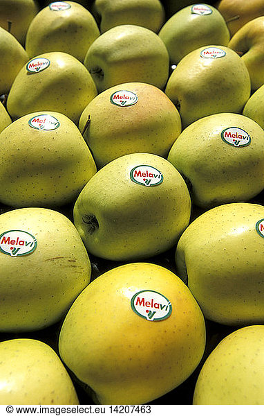 Apples  COAV consortium  Tovo di Sant´Agata  Lombardy  Italy