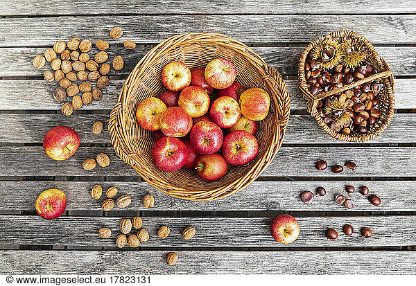 Apples  walnuts and chestnuts picked up during autumn garden harvest