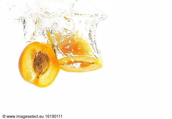 Apricot falls into the water  studio shot  cutout  Austria  Europe