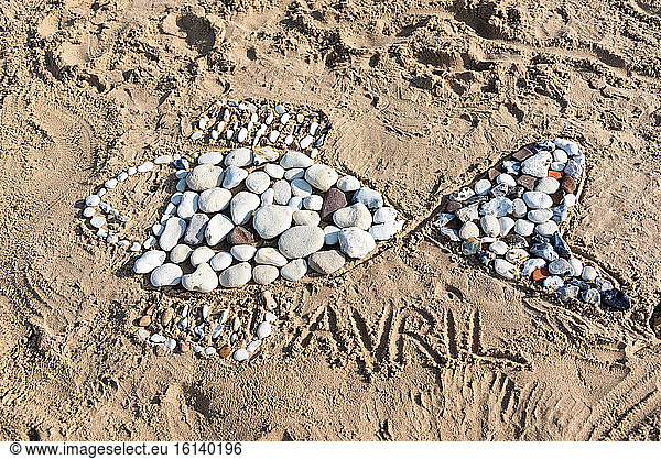 April fool's pebbles on a beach  spring  Pas de Calais  France
