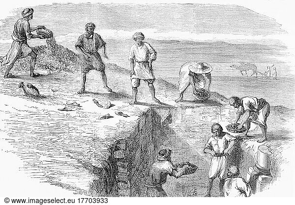 Araber bei Ausgrabungen in den Ruinen von Karthago. Aus L'Univers Illustre  veröffentlicht in Paris  1859