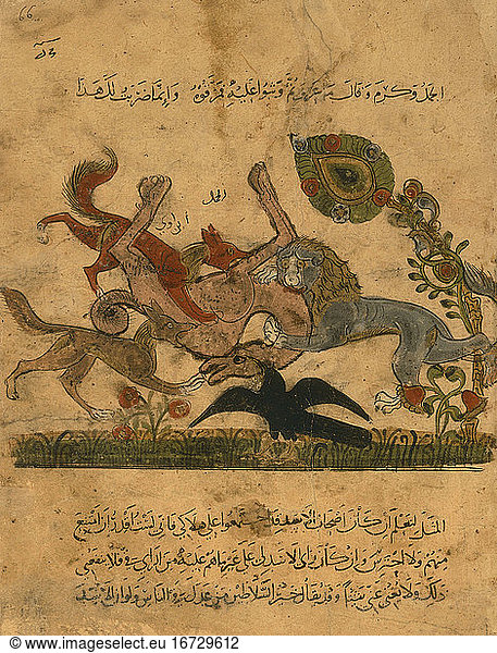Arabian illumination 
c. 1350. A sacrificed camel. Paris  Bibliotheque Nationale 
Arabe 3465  fol. 66.