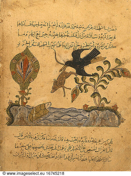 Arabian illumination 
c. 1350. Raven  turtle  rat and gazelle. Paris  Bibliotheque Nationale 
Arabe 3465  fol. 87.