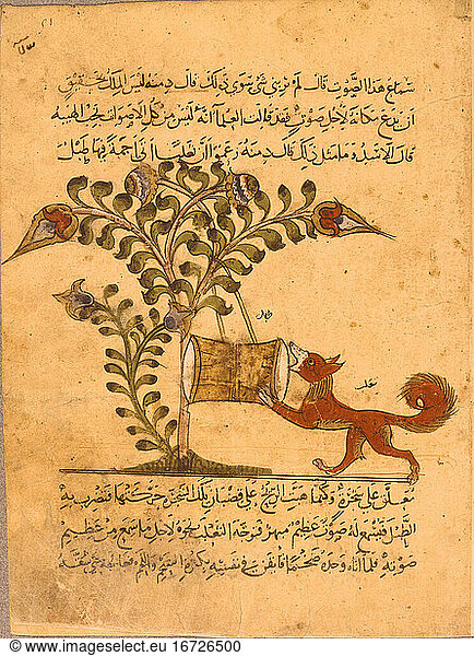 Arabian illumination 
c. 1350. The fox and the empty drum. Paris  Bibliotheque Nationale 
Arabe 3465  fol. 51.