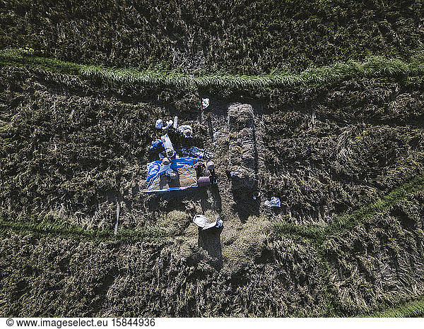 Arbeiter auf Reisfeldern