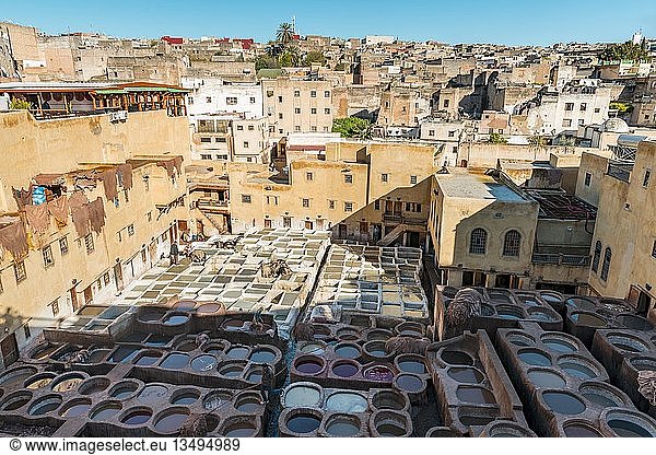 Arbeiter beim Färben von Leder Schale mit Farbe Färben Gerberei Tannerie Chouara Gerber- und Färberviertel Fes el Bali Fes Marokko Afrika