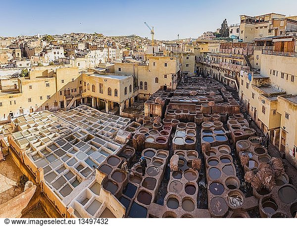 Arbeiter beim Färben von Leder Schale mit Farbe Färben Gerberei Tannerie Chouara Gerber- und Färberviertel Fes el Bali Fes Marokko Afrika