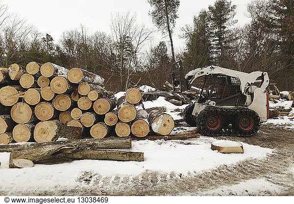 Arbeiter sitzt in einem Gabelstapler  der im Wald Holz transportiert
