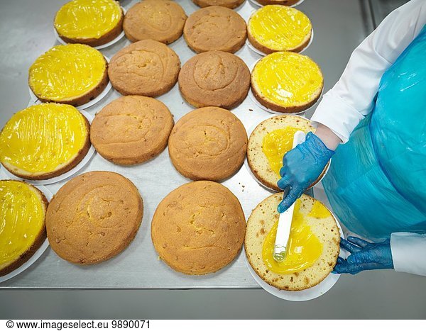 Arbeiterin beim Ausbreiten der Füllung auf Kuchen in der Kuchenfabrik  Hochwinkelansicht