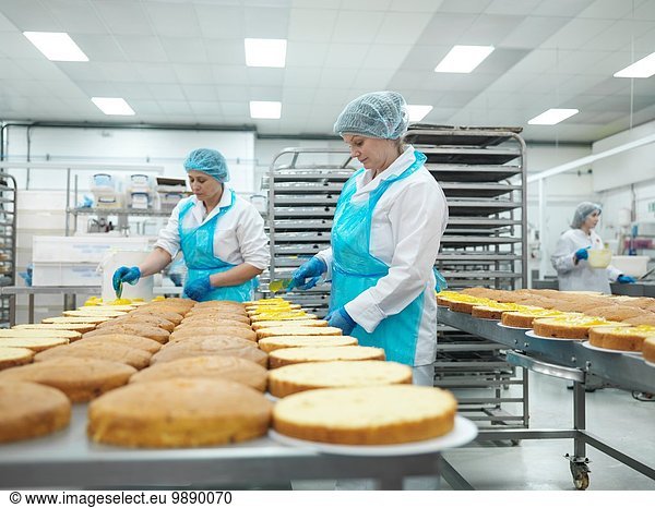 Arbeiterinnen beim Ausbreiten von Kuchen in der Kuchenfabrik