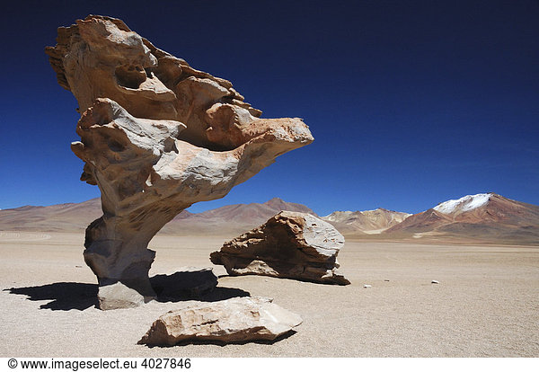 Arbol de Piedra  Baum aus Stein  Altiplano  Bolivien  Südamerika