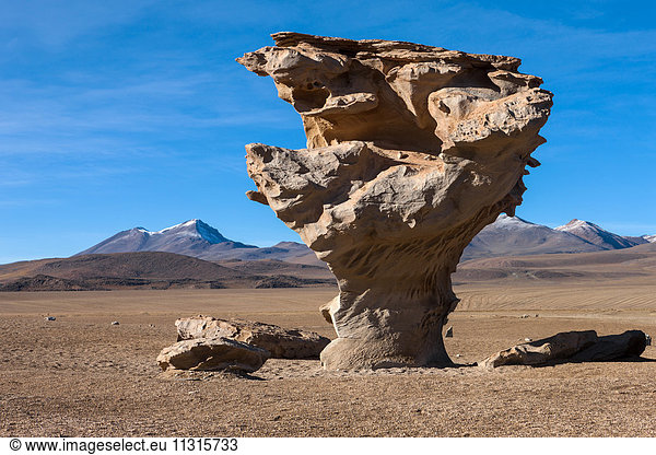 Arbol de Piedra  Bolivia  Altiplano